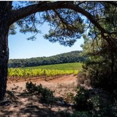 Appartamento Le Lavandou, 1 Pièce, 4 Personnes - Fr-1-251-202 *