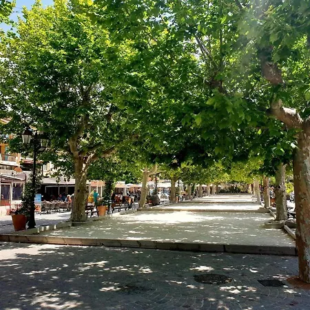 Climatise Avec Terrasse Et Parking Au Centre Du Lavandou - Fr-1-251-202 Apartment *