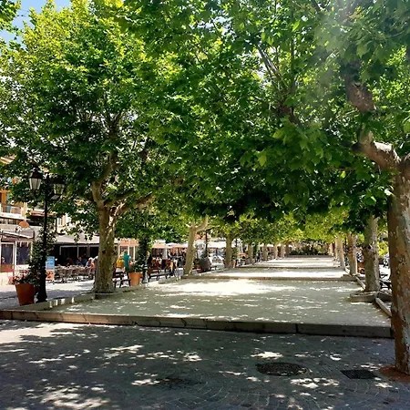 Climatisé Avec Terrasse Et Parking Près De La - Fr-1-251-202 Le Lavandou